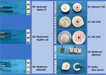 Extramuscular Recording of Spontaneous EMG Activity and Transcranial Electrical Elicited Motor Potentials in Horses: Characteristics of Different Subcutaneous and Surface Electrode Types and Practical Guidelines